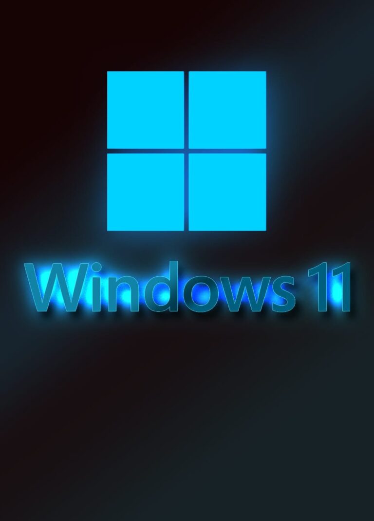 Windows 11 Professional (PC) PT-BR + Instalação [Steam Amiga]